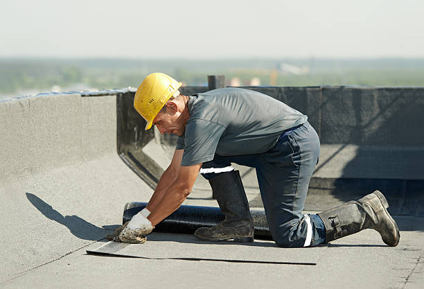 Best Commercial Insulation Contractor  in Lindenwold, NJ