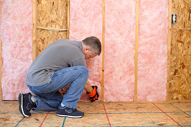 Best Fiberglass Insulation  in Lindenwold, NJ